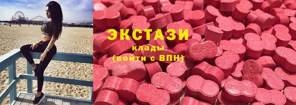стафф Алексин