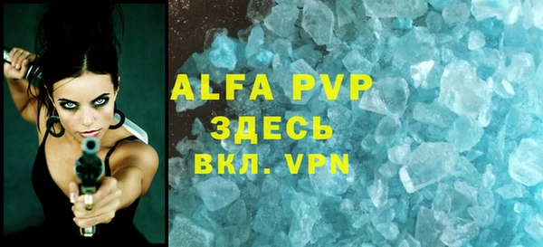 стафф Алексин