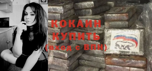гидра Аркадак