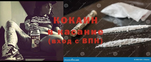 стафф Алексин